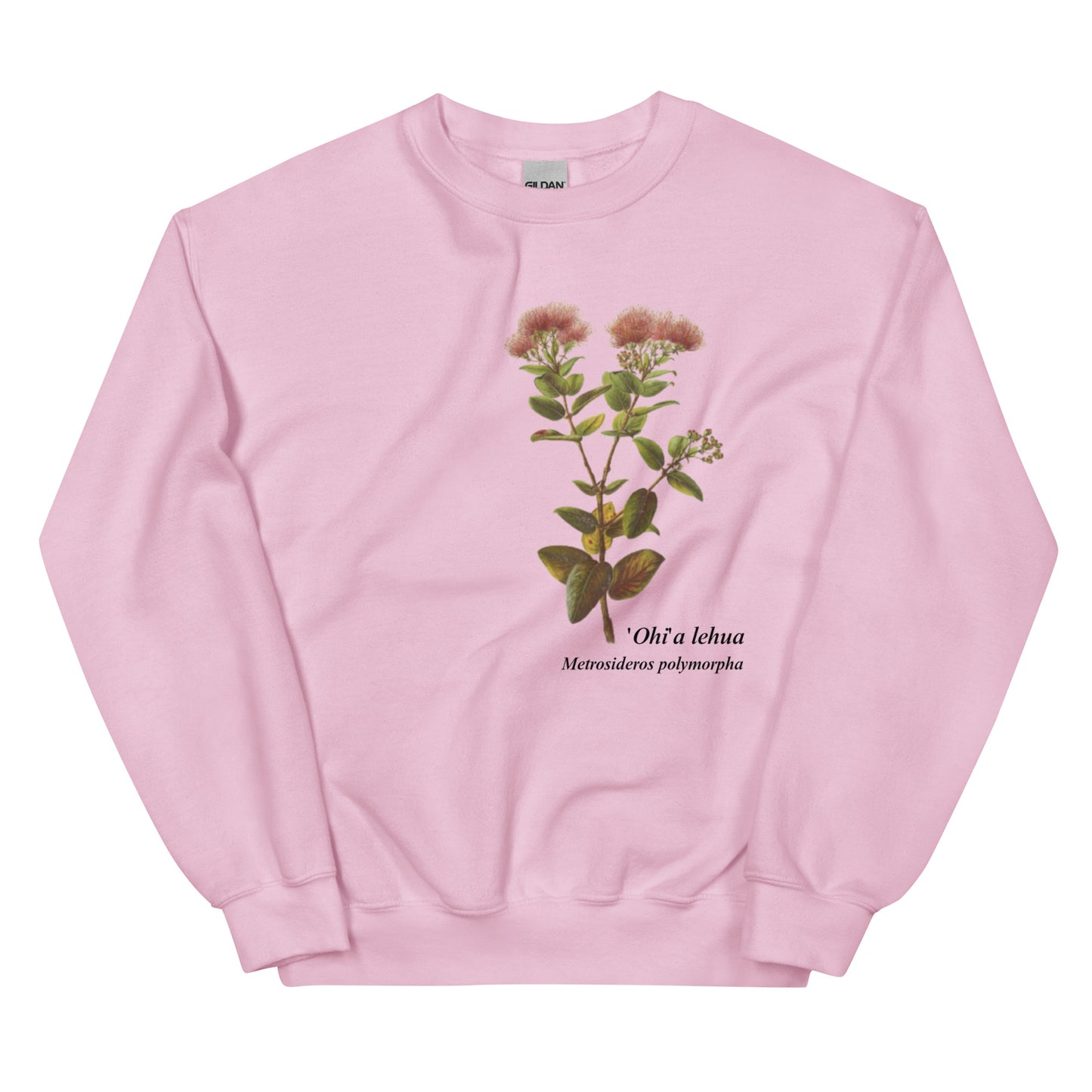 Indigenous Flowers of the Hawaiian Islands ('Ohi'a lehua) Crewneck