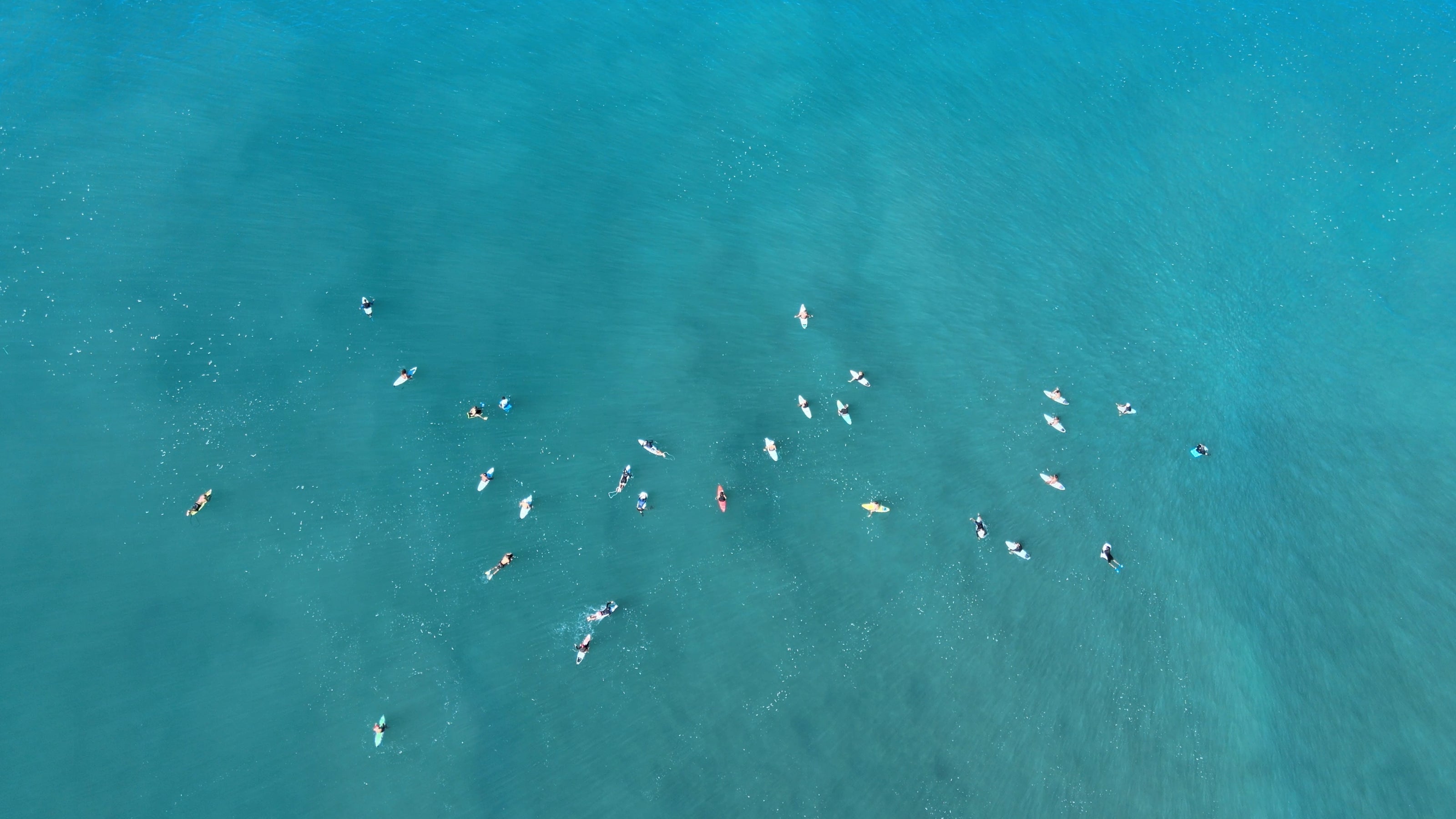Surfers waiting for a wave in Hawaii at Banzai pipeline.